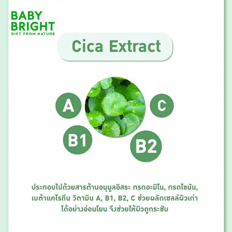 ฺBaby Bright พาวเดอร์ 50g แป้งฝุ่นโปร่งแสงมี 2 สูตรให้เลือก [สูตร Cica คุมมัน, สูตร Sakura โกลว์โทนอัพ]