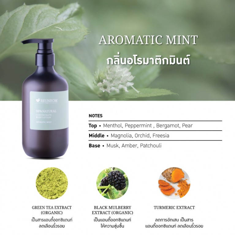 Reunrom ไนน์ตี้เอทเปอร์เซ็นต์เนเชอรัลคอนเซ็นเทรทบอดี้โลชั่น 500ml Aromatic Mint 