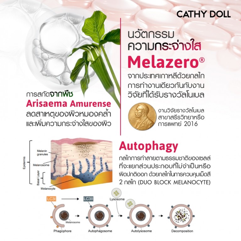 Cathy Doll เมลาไลท์แอนตี้ดาร์กสปอตครีมวันเปอร์เซ็นต์อาร์บูติน เอสพีเอฟ15 30ml เคที่ดอลล์ 